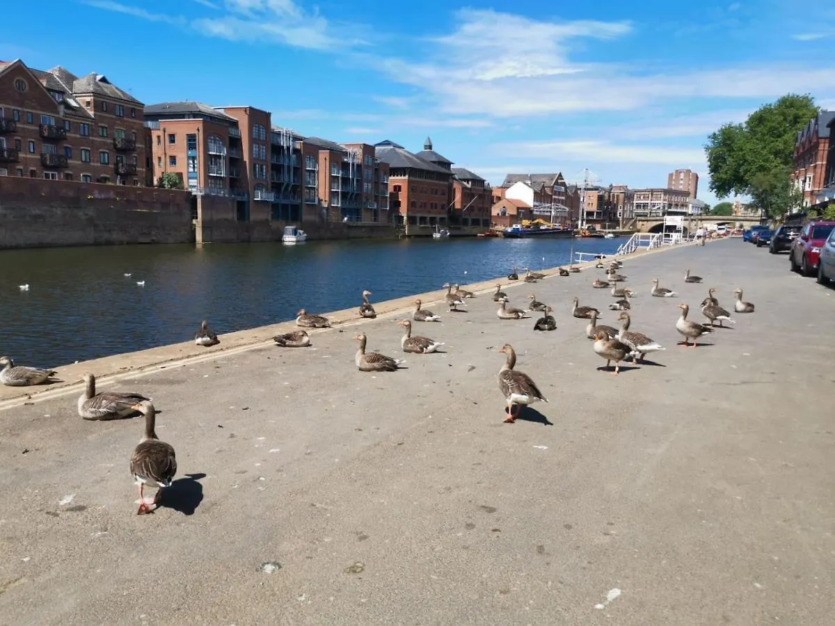 Hartoft St - 2 Bed Near River York Wielka Brytania